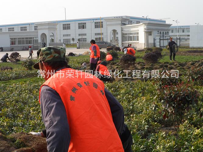 常州市荣轩园林绿化工程 专注园林绿化工程施工，打造生态宜居城市